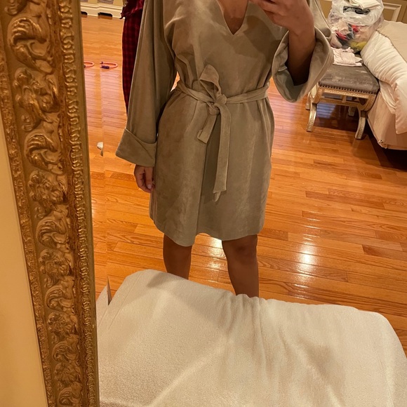 Velvet Loose fitting Mini Dress - Picture 4 of 5